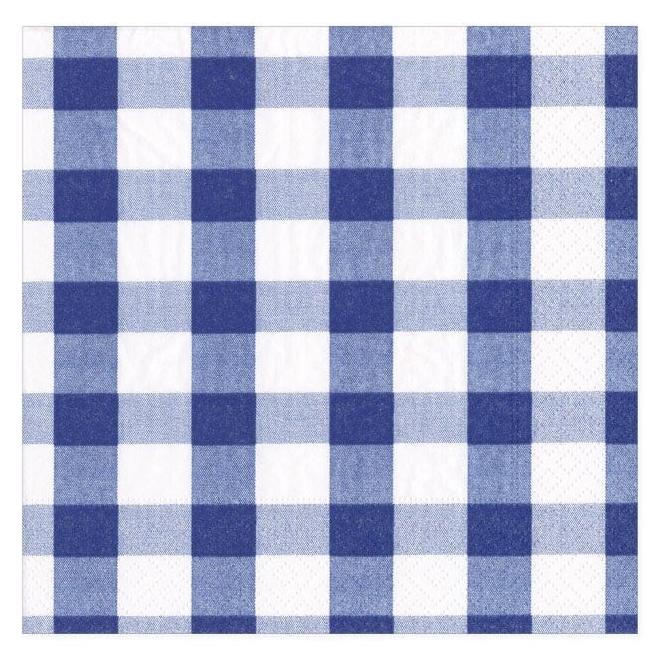 Gingham Paper Napkins in Blue