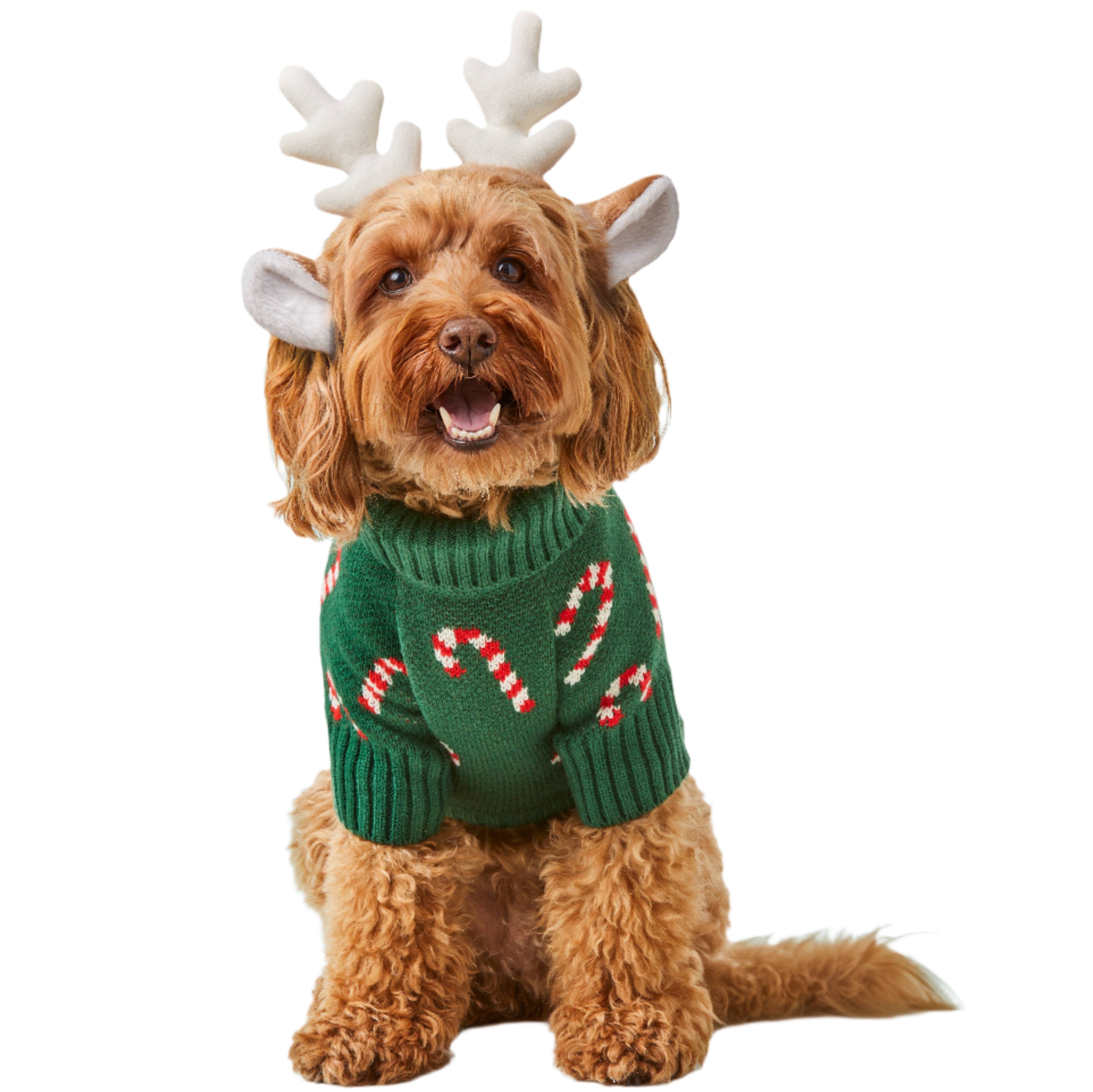 Foggy Dog Holiday Sweater - Candy Canes