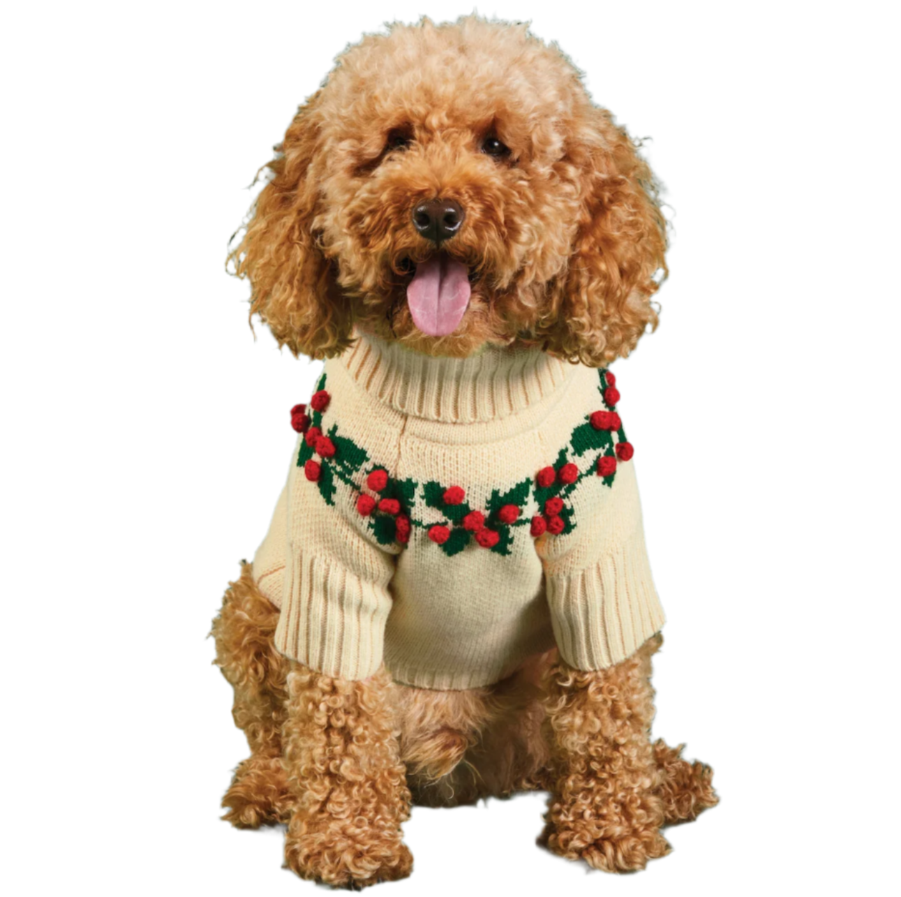 Foggy Dog Holiday Sweater - Holly Bobble