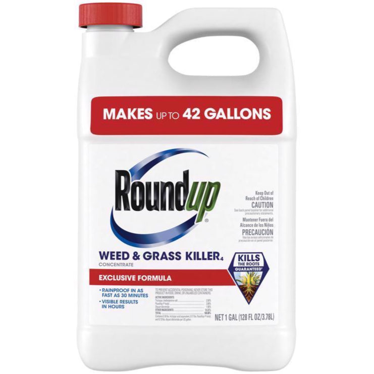 Roundup Weed & Grass Killer Concentrate - 1 gal.