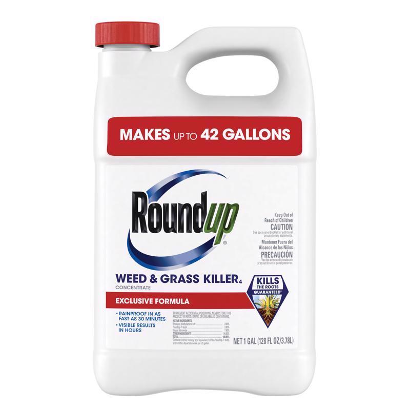 Roundup Weed & Grass Killer Concentrate - 1 Gallon