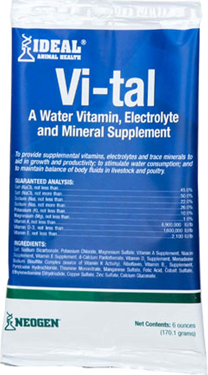 Vi-Tal Vitamin & Electrolyte Supplement - 6 oz.