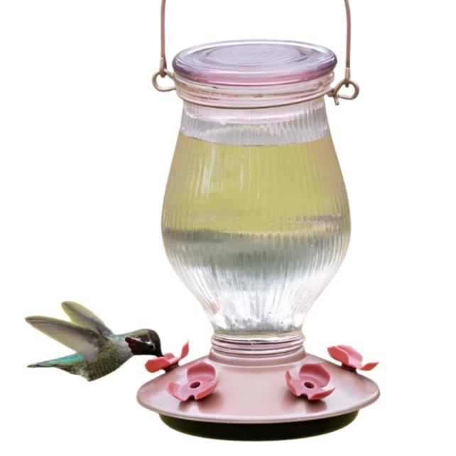 Perky-Pet Rose Gold Bottle Hummingbird Feeder - 24 oz.