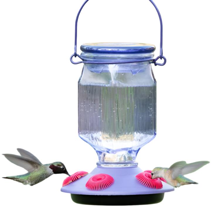 Perky-Pet Lavender Glass Bottle Hummingbird Feeder - 16 oz.