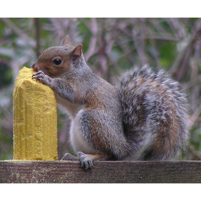 Squirrelog Corn-Based Squirrel & Critter Food - 32 oz.