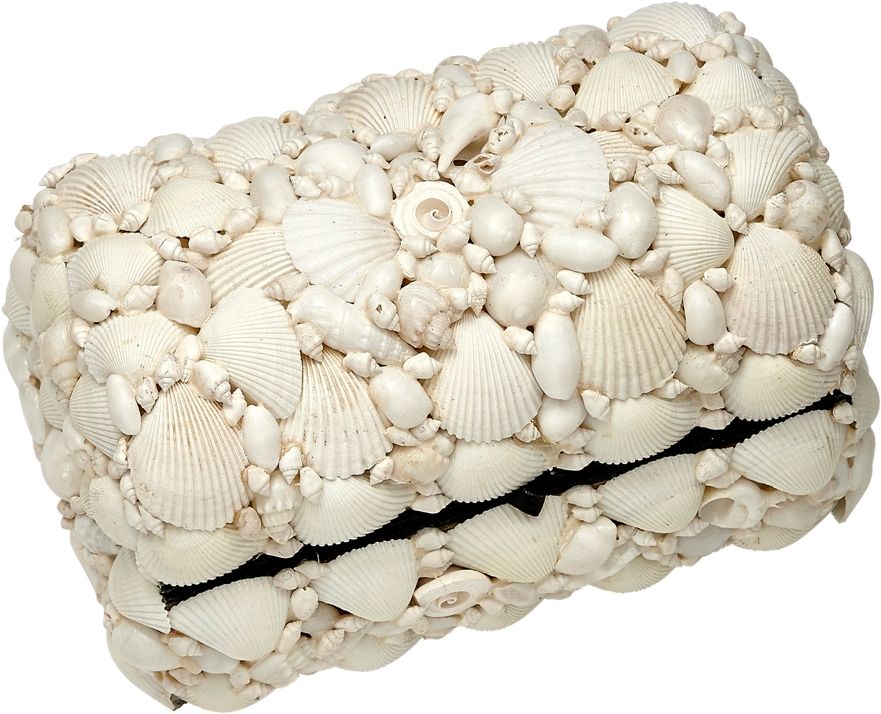 Seashell Treasure Box - 6.5" x 10"