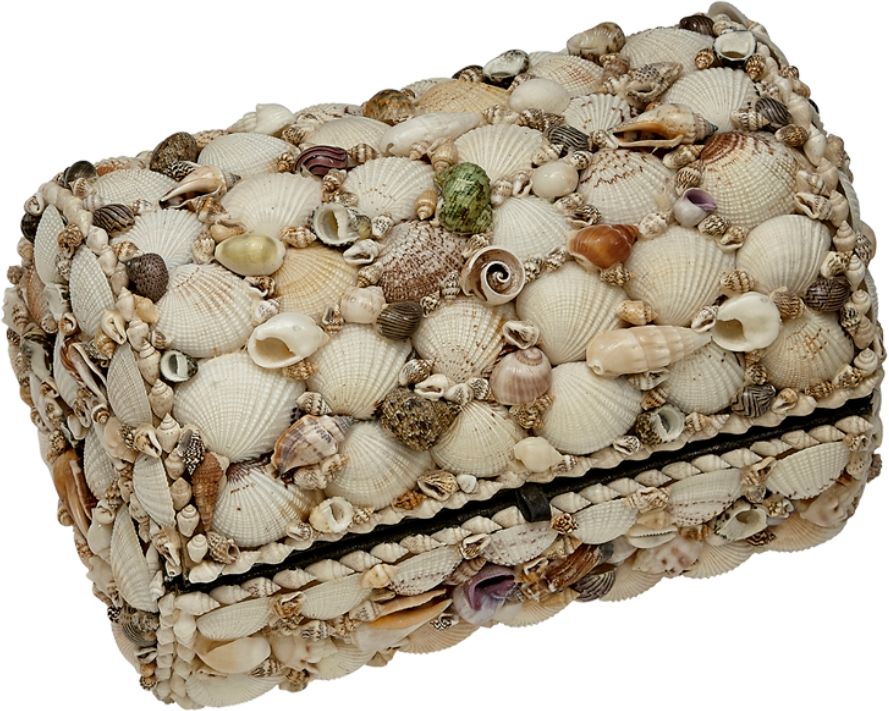 Seashell Treasure Box - 6.5" x 10"