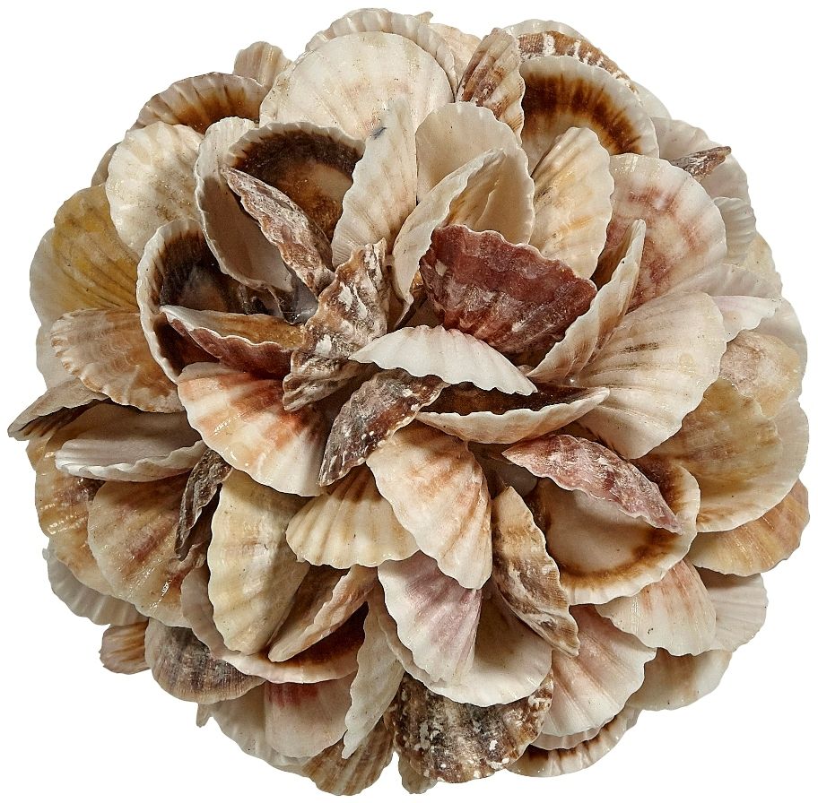 Mixed Pecten Shell Orb