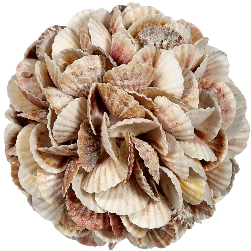 Mixed Pecten Shell Orb