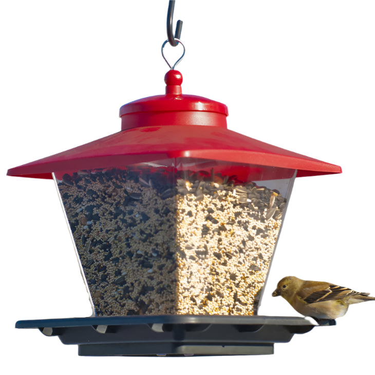 Audubon Plastic Cafe Hanging Bird Feeder