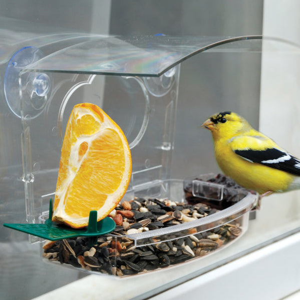 Audubon Plastic Window-Mounted Bird Feeder