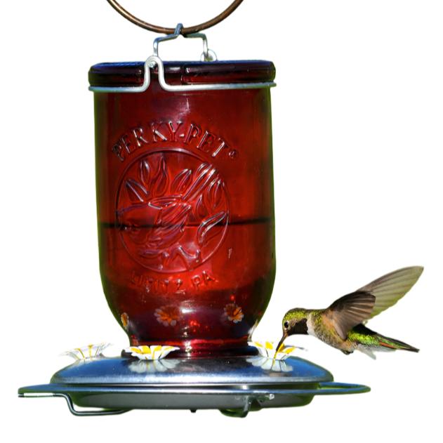 Perky-Pet Red Mason Jar Hummingbird Feeder - 32 oz.