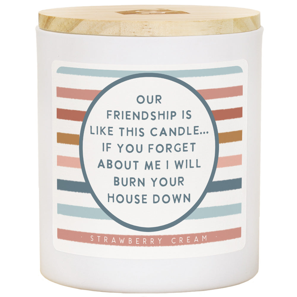 Sincere Surroundings Funny Sentiments Soy Wax Candles - 11 oz.