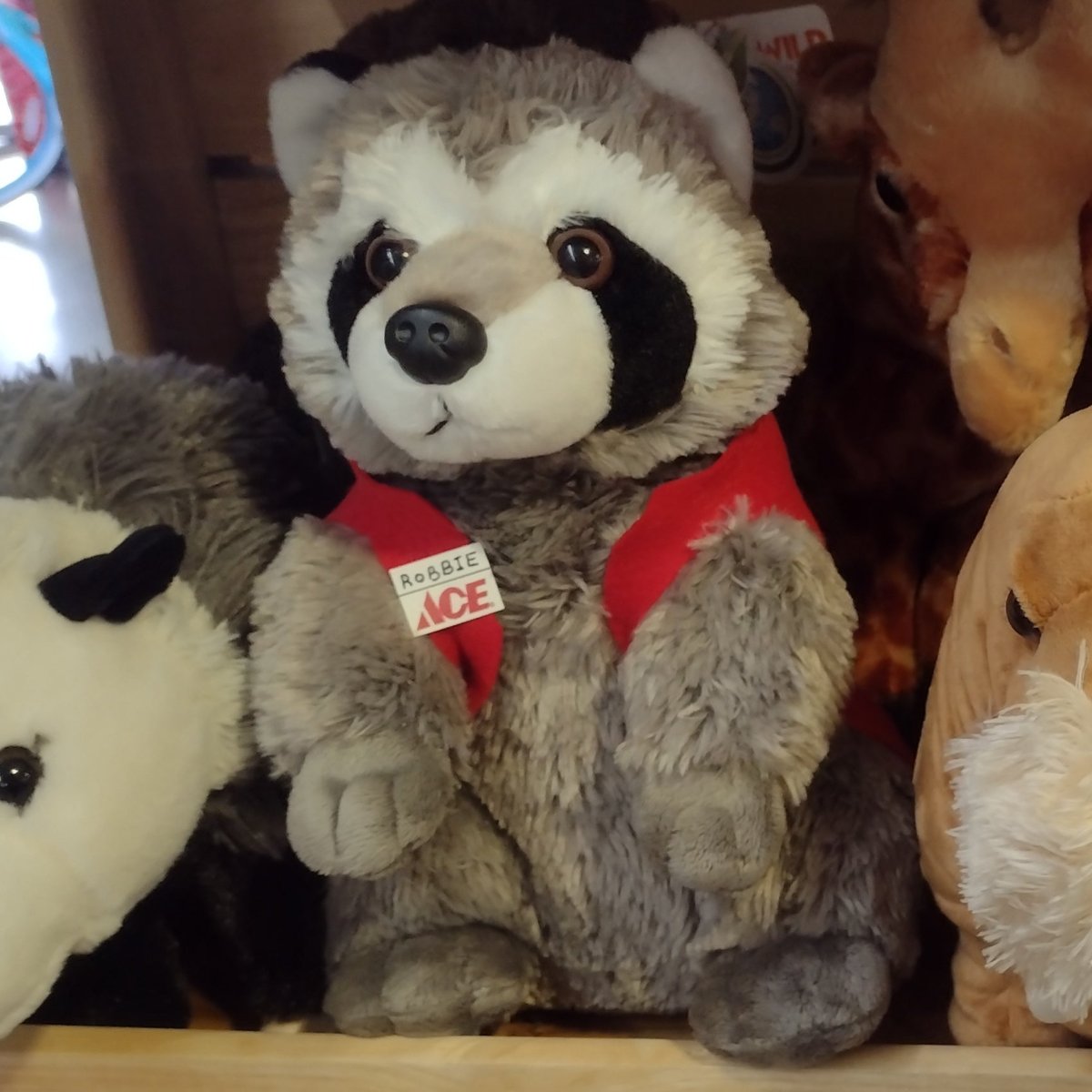 Cuddlekins Plush Raccoon - 12"