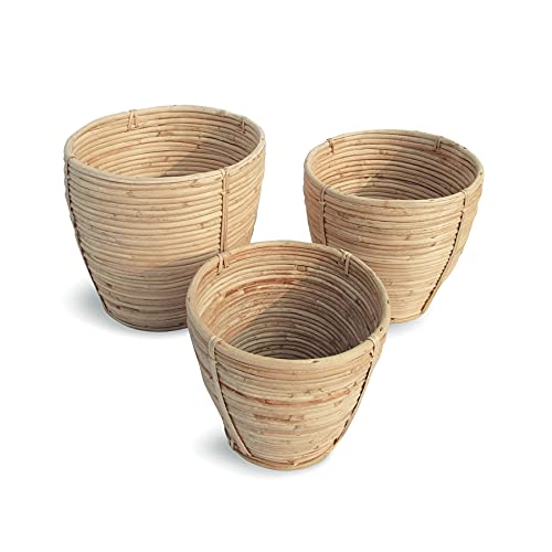 Home Accents Collection - Cane Rattan Round Tapered Baskets