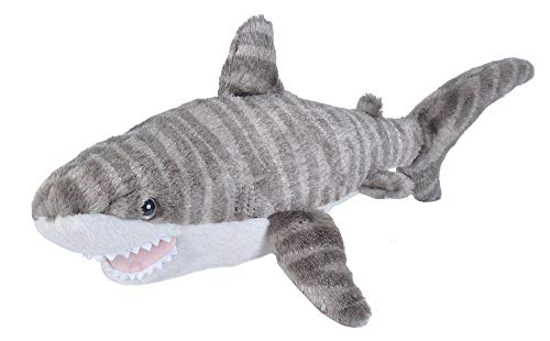 Cuddlekins Plush Mini Tiger Shark - 8"