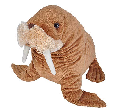 Cuddlekins Plush Walrus - 12"