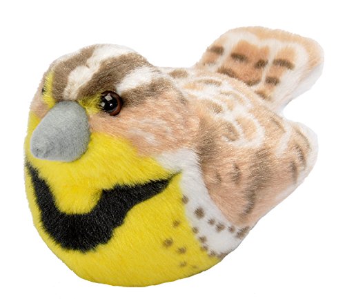 Audubon Plush Birds with Authentic Bird Songs