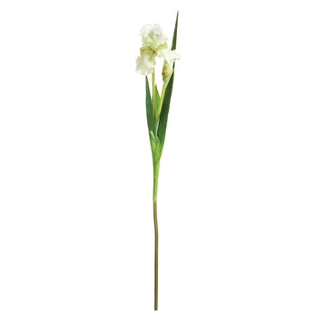 Faux Bearded Iris Stem - 37"