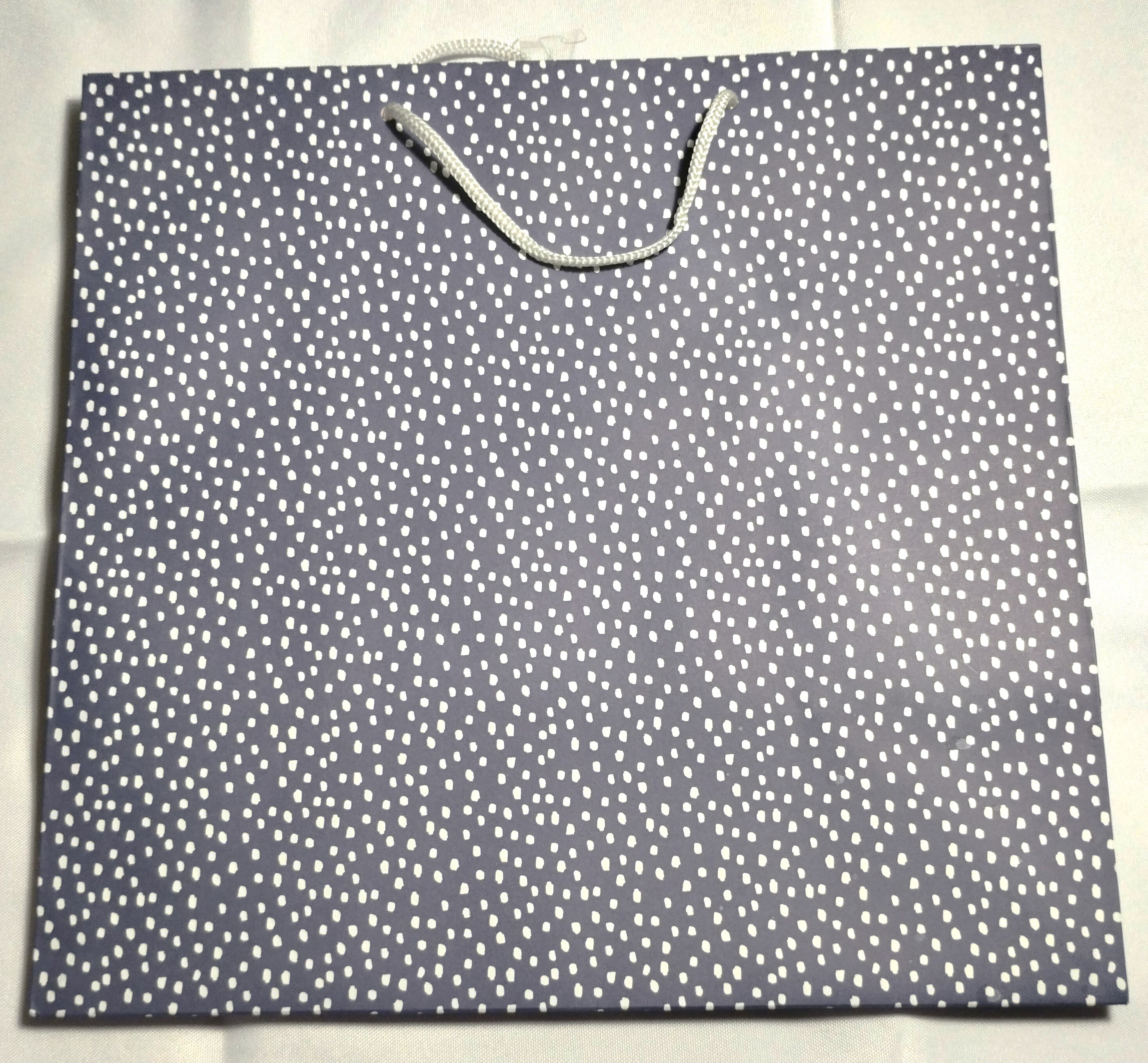 Navy Flurry Gift Bag