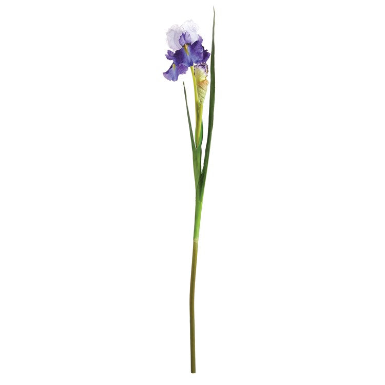 Faux Bearded Iris Stem - 37"